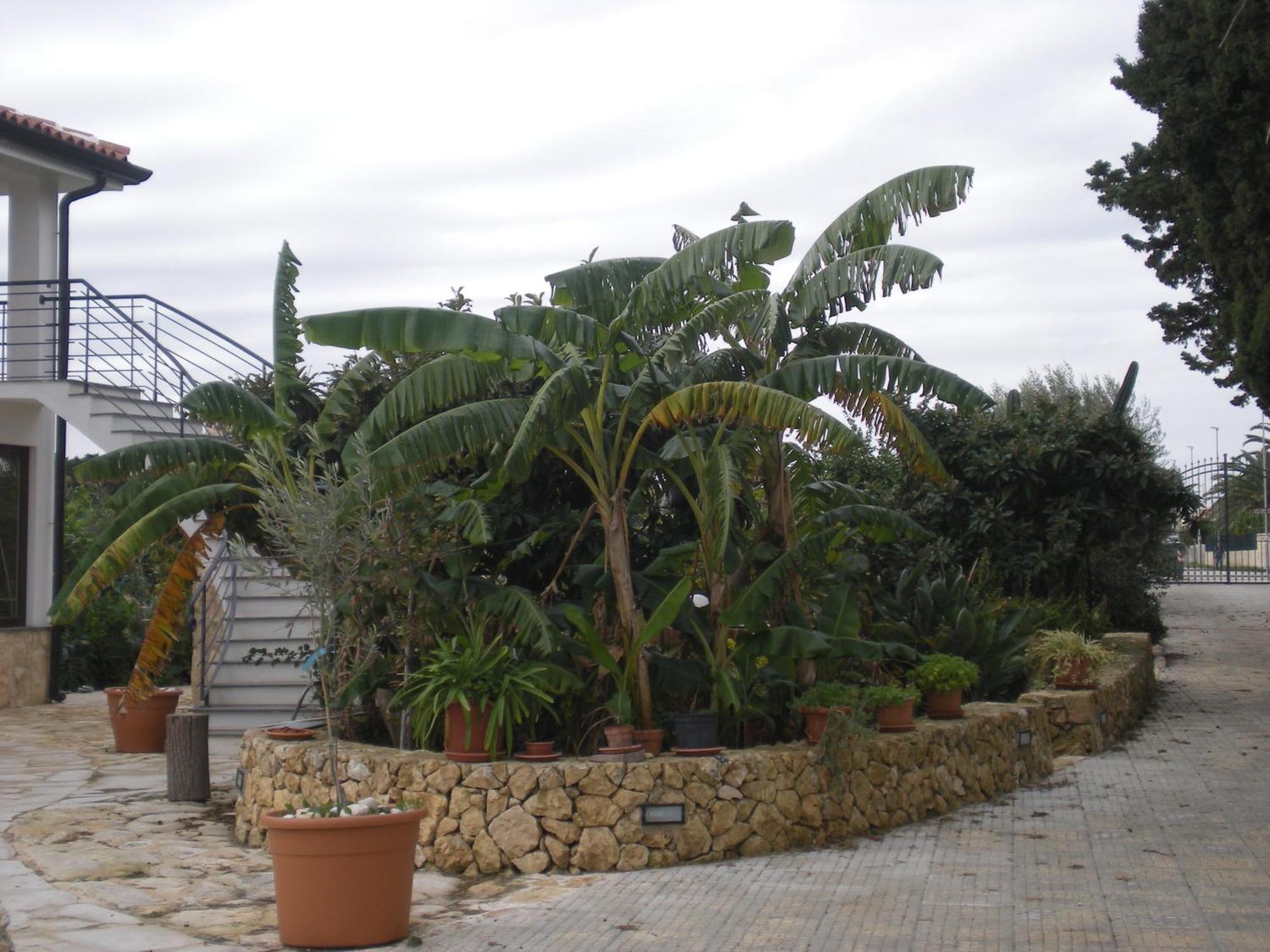 B&B Terra Marique Syracuse Exterior photo